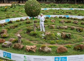 Giornata Ambiente: a Baku il focus sul clima Soluzioni naturali
