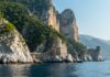 Santuario Pelagos: un piano per proteggere i cetacei Tutela marina