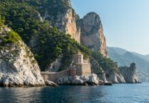 Santuario Pelagos: un piano per proteggere i cetacei Tutela marina