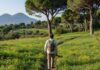 Vesuvio: un convegno per tutelare gli impollinatori Biodiversità Vesuvio