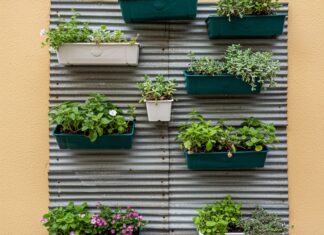Grondaie vecchie: 10 idee per riciclarle in casa Riciclo creativo