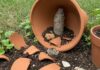 Giardinaggio: come dare nuova vita ai vasi rotti Riciclo creativo