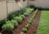 Giardini sostenibili: come consumare meno acqua Risparmio idrico