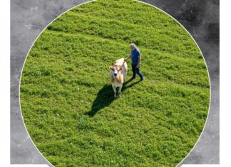 Clima: in Italia aumentano le allergie respiratorie Salute ambientale