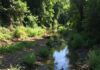 Esperti europei a Fiumicino per i rifiuti del Tevere Inquinamento fluviale