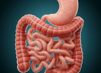 Studio Ohio: i pesticidi minacciano l’intestino Salute intestinale