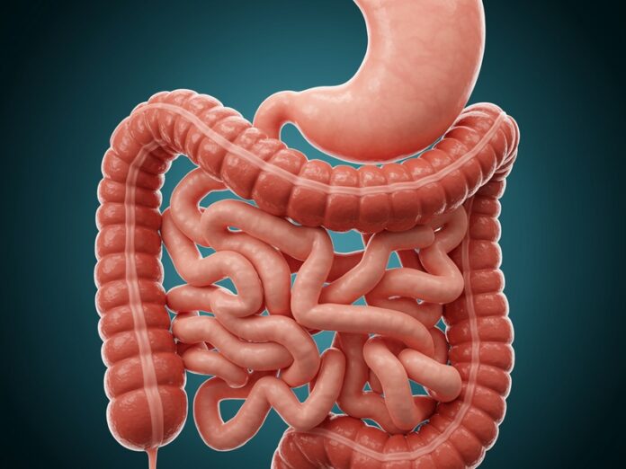 Salute intestinale