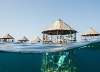 Bogliasco: un reef artistico per salvare la posidonia Arte ambientale