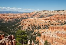 Parchi USA: guida ai 10 ecosistemi più iconici Ecosistemi protetti