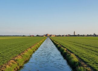Chioggia: workshop su tossicologia e chimica ambientale Chimica ambientale