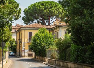 Caldo urbano: più alberi per rinfrescare le città Verde urbano