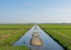 Delta del Po: un progetto per tutelare la biodiversità Biodiversità tutelata