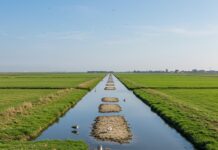 Delta del Po: un progetto per tutelare la biodiversità Biodiversità tutelata