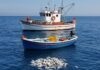 Piccola pesca: un pilastro per l’economia italiana Pesca artigianale