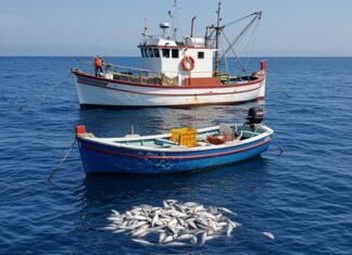 Piccola pesca: un pilastro per l’economia italiana Pesca artigianale