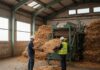 A2A Piemonte: cresce il riciclo del legno Economia circolare