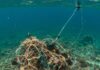 Arcipelago Toscano: le reti da pesca diventano nylon Reti fantasma