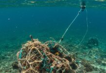 Arcipelago Toscano: le reti da pesca diventano nylon Reti fantasma