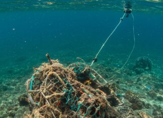 Arcipelago Toscano: le reti da pesca diventano nylon Reti fantasma