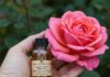 Rose: come combattere i parassiti con metodi naturali Rimedi naturali