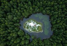 Italia: come usare la scrittura contro l’eco-ansia Ansia climatica