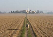 Pianura Padana: l’inquinamento minaccia la salute Salute pubblica