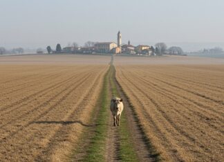Pianura Padana: l’inquinamento minaccia la salute Salute pubblica