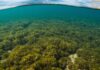 Sardegna: nuovo progetto per proteggere la Posidonia Ecosistema marino