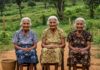 Brasile: il segreto della longevità è la vita rurale Segreto longevità