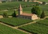 Ambiente, il Veneto trasforma il rimpianto in azione Rimpianto ecologico