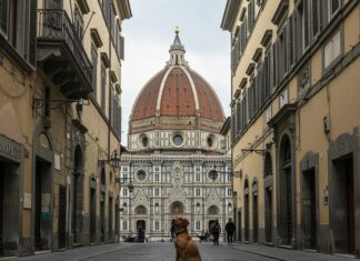 Firenze seconda città più dog-friendly d’Europa Città dog-friendly