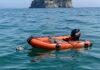 Ischia: soccorsa tartaruga marina in difficoltà Tartaruga salvata