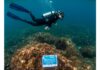 Bergeggi: l’apnea per la tutela del Mediterraneo Tutela marina
