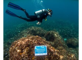 Bergeggi: l’apnea per la tutela del Mediterraneo Tutela marina