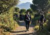 Vesuvio: Vadalà in visita per la tutela ambientale Tutela Vesuvio