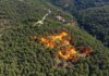 Italia: nel 2025 raddoppiate le aree bruciate Incendi boschivi