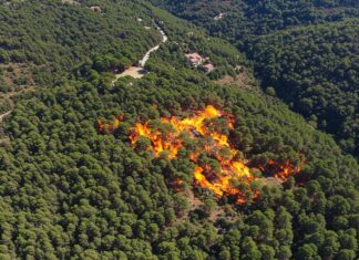 Italia: nel 2025 raddoppiate le aree bruciate Incendi boschivi
