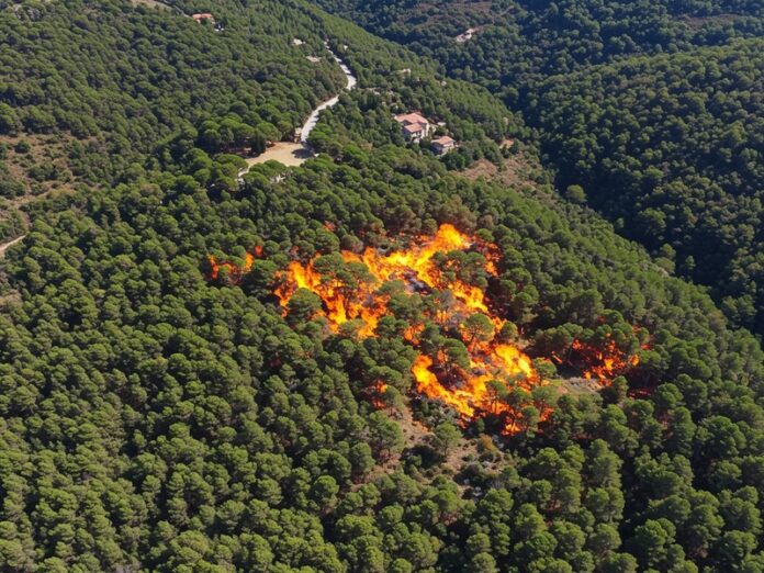 Incendi boschivi