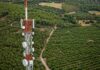 Castelporziano: telecamere intelligenti anti-incendio Monitoraggio ambientale