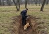 Cremasco: uccide due cani a fucilate, era infastidito Cani uccisi