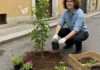 Trezzano: la guerriglia verde ha piantato 300 alberi Guerriglia verde