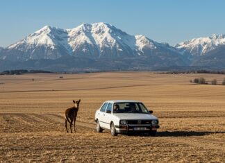 Accordo UE-USA: più fossili, allarme ambientalisti Dipendenza energetica