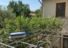 Zanzariere: come pulirle senza prodotti chimici Pulizia ecologica