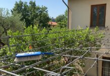 Zanzariere: come pulirle senza prodotti chimici Pulizia ecologica