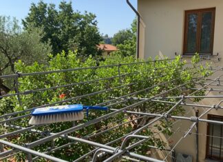 Zanzariere: come pulirle senza prodotti chimici Pulizia ecologica