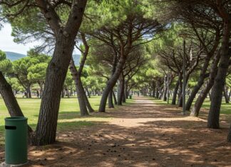 Francia: stop al fumo su spiagge e parchi dal 2025 Divieto fumo