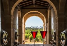 Italia: boom del vino analcolico, cos’è e come si fa Vino dealcolato