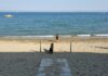 Lido di Venezia: riapre la spiaggia per cani Benessere animale