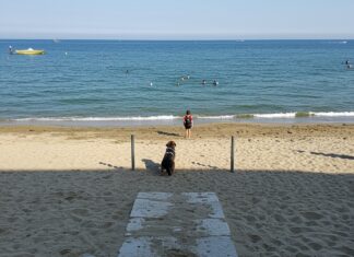 Lido di Venezia: riapre la spiaggia per cani Benessere animale