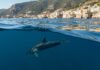 Santuario Pelagos: nuovo piano per proteggere i cetacei Cetacei protetti